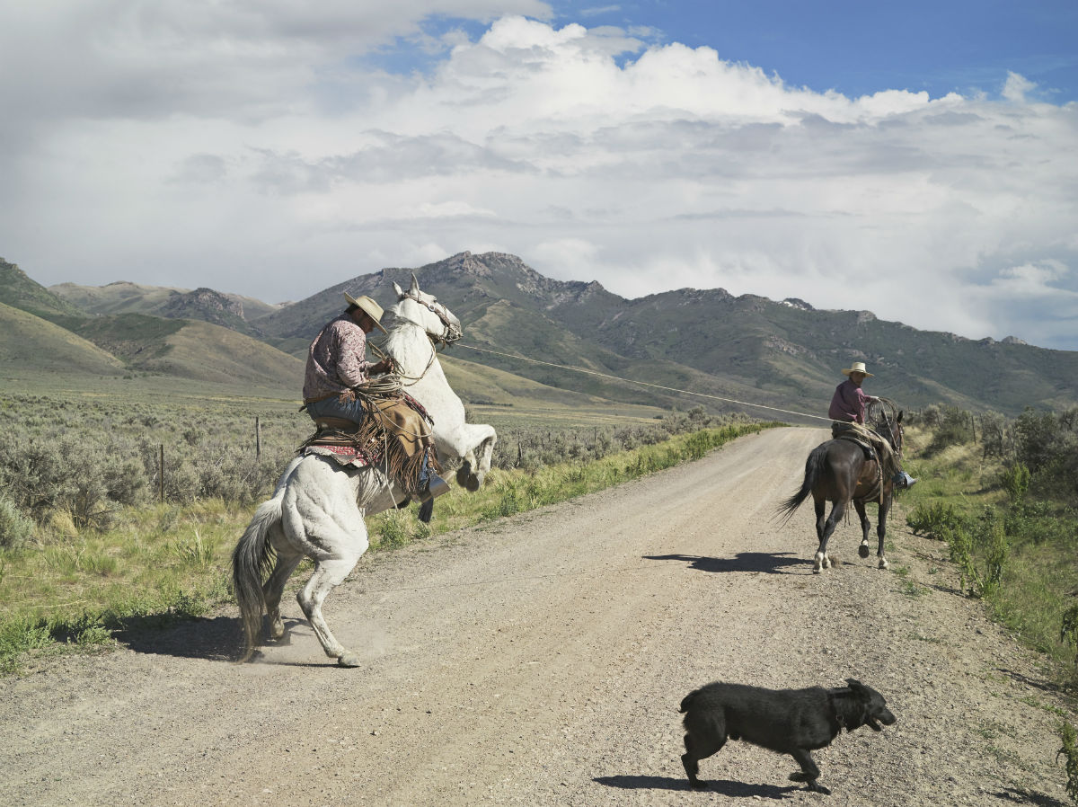 “The image of Casey and Rowdy horse training, in some ways, comes closest to symbolizing ranching today. The landscape is still iconic, the horse is rearing, but Casey is trying really hard not to fall off his horse.”